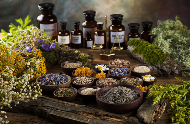 Fresh medicinal, healing herbs  - Photo, Image