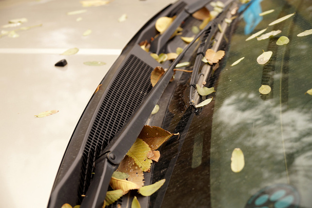 Gele Herfstbladeren op een auto - Foto, afbeelding