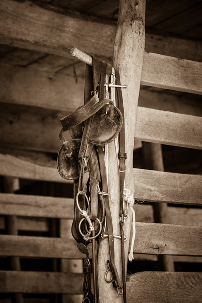 Paard Tack Items - Foto, afbeelding