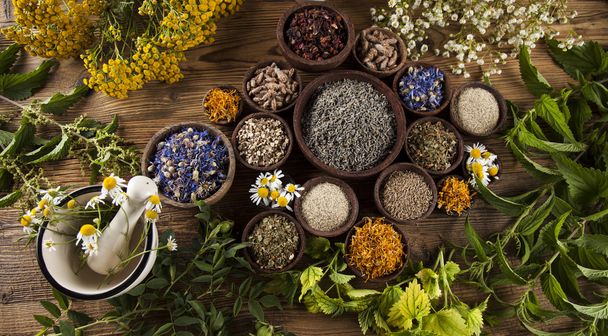 Dried herbs and mortar - 写真・画像