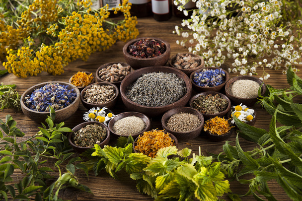 Healing herbs on wooden desk  - Foto, Imagem