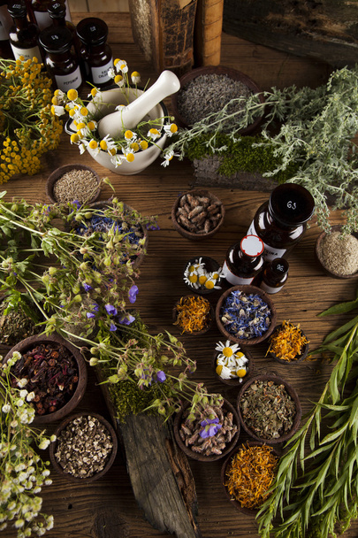 Assorted natural medical herbs and mortar  - Photo, Image