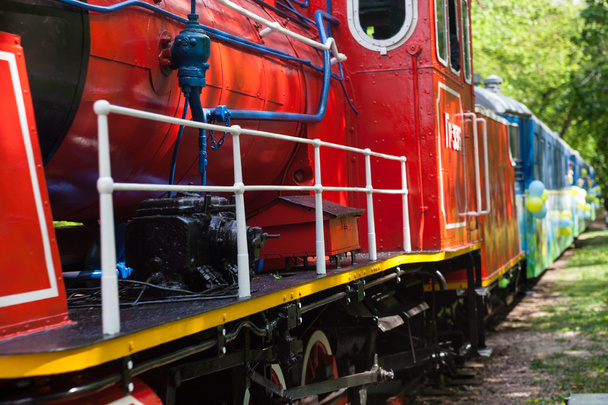 Steam locomotive megy keresztül a park a vonat. - Fotó, kép