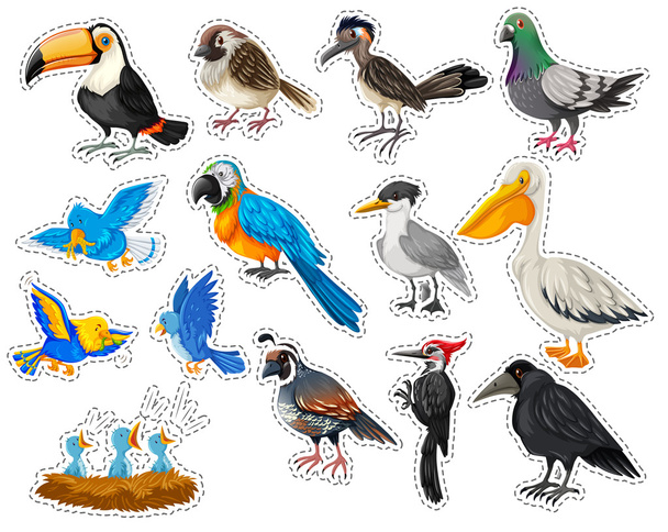 Набор стикеров со многими типами птиц
 - Вектор,изображение