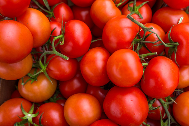 red tomatoes background. Group of tomatoes - 写真・画像