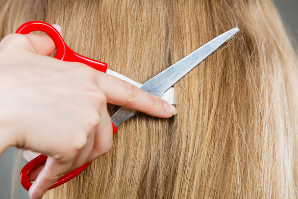 Red scissors on blonde hair. Close up. - Фото, изображение