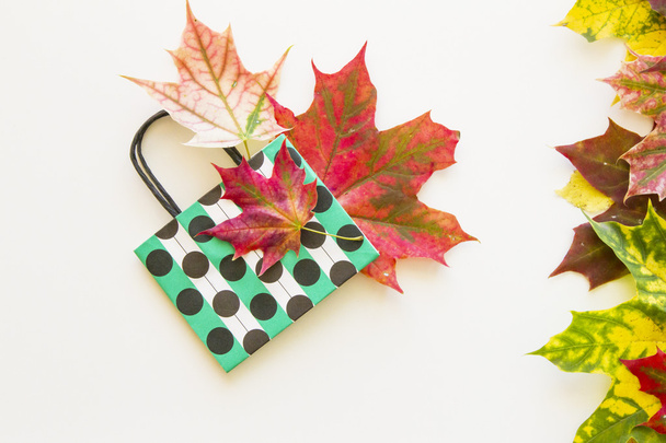 Renkli sonbahar yaprakları ve puantiyeli kağıt torba beyaz arka plan üzerinde. Düz yatıyordu. Üstten Görünüm - Fotoğraf, Görsel