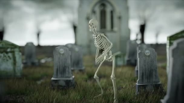Skelet op enge oude begraafplaats. Halloween concept. 3D-rendering - Video