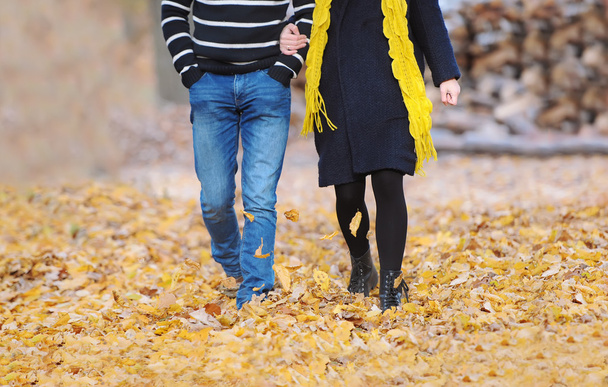 Lovely couple holding hands walking on autumn rural path - Photo, Image