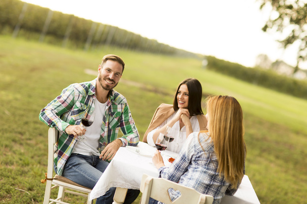 People enjoy dinner in vineyard - Foto, Imagen