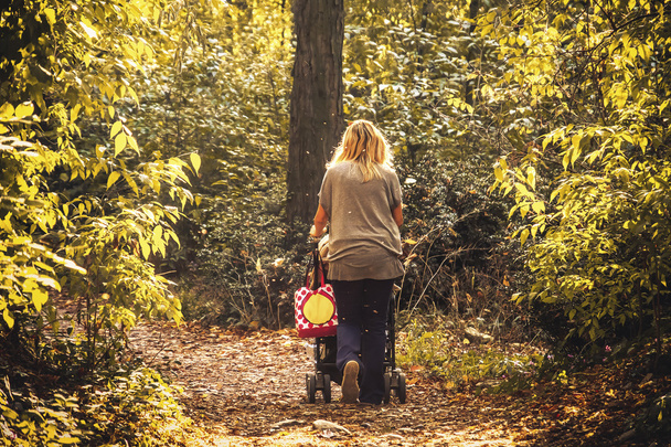 bionda donna indietro spingere passeggino parco natura autunno
 - Foto, immagini