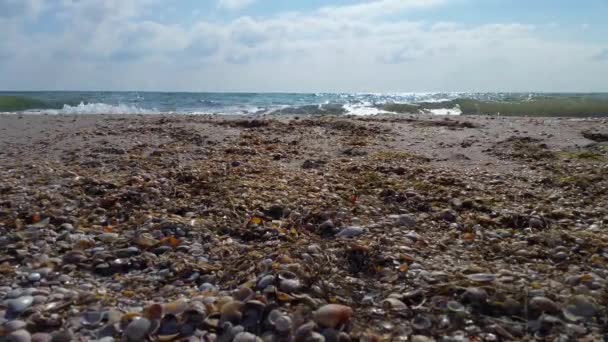 Meerblick vom Ufer der Muscheln, aufgenommen von unten - Filmmaterial, Video