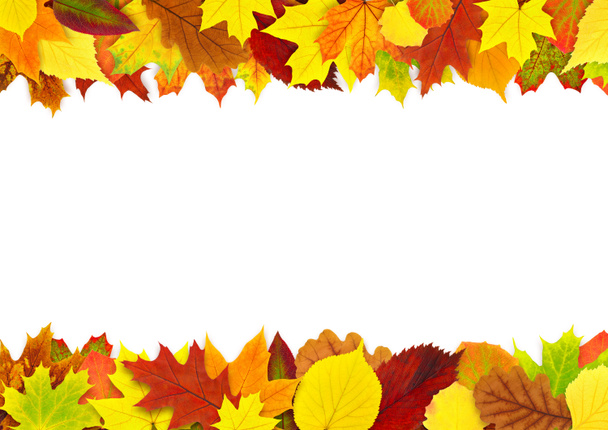 Colorful autumn leaves border - Photo, Image