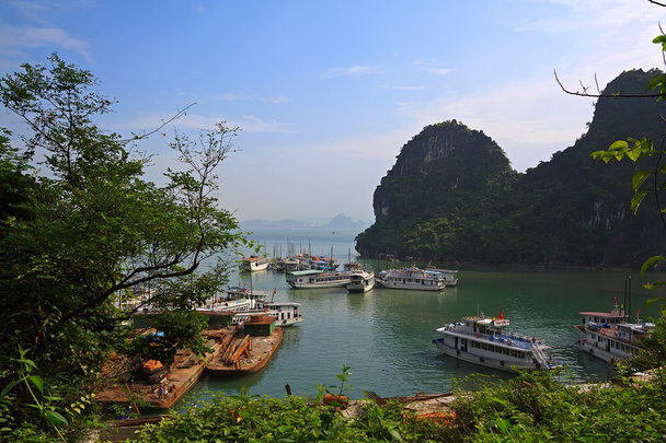 Halong bay in Quangninh, Vietnam - Foto, afbeelding