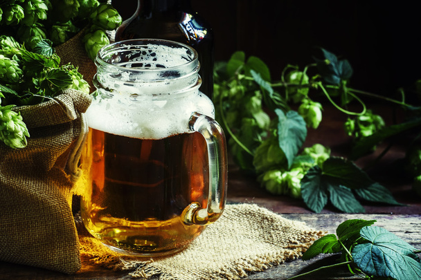 Piwo z pianką w szklanym słoiku, brązowa butelka i stożki świeżego zielonego chmielu  - Zdjęcie, obraz