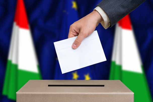 Election in Hungary - voting at the ballot box - Photo, Image