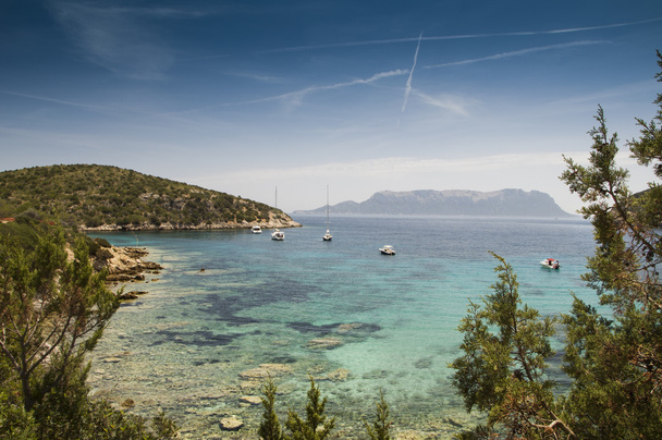 Itálie Sardinie cala moresca bay v zálivu aranci - Fotografie, Obrázek