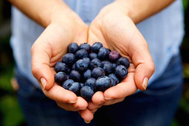 Handful of fresh blueberries - Photo, Image