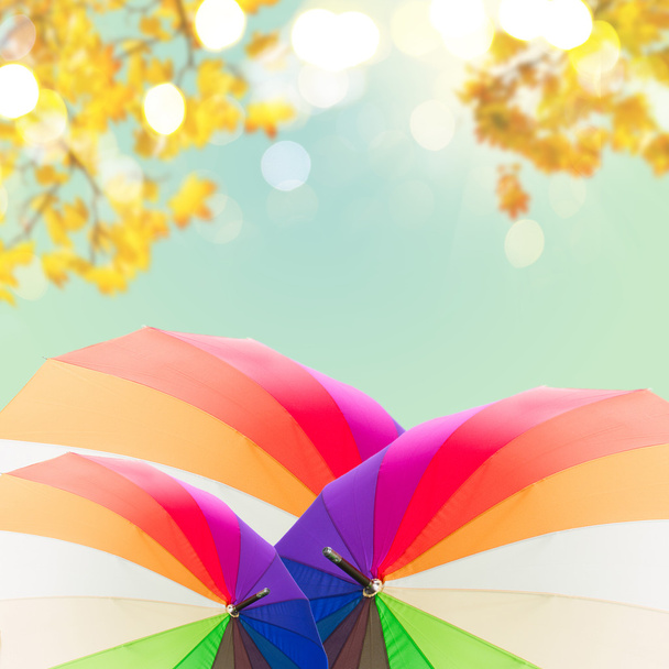 Open rainbow umbrellas - Foto, imagen