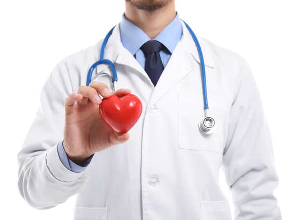 Male doctor holding red heart on white background - Zdjęcie, obraz