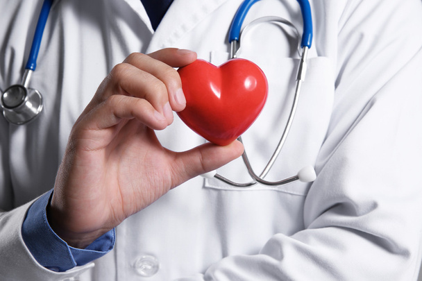 Médico masculino segurando coração vermelho, close-up
 - Foto, Imagem