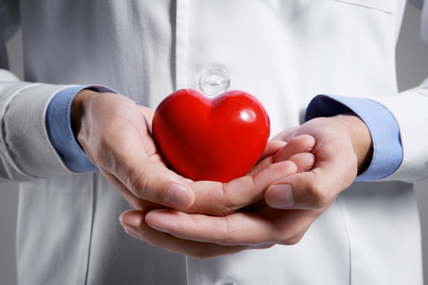 Male doctor holding red heart, closeup - Photo, image