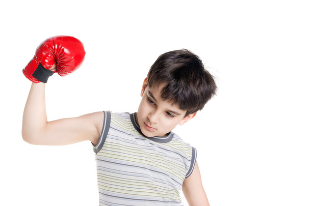 Boy little boxer  - Foto, Bild