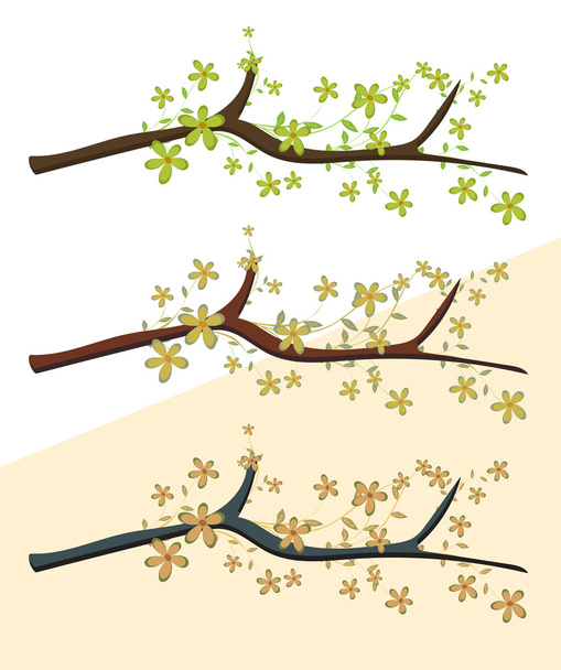 Гілки квітів
 - Вектор, зображення