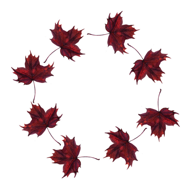 round frame with maple leaves - Foto, imagen