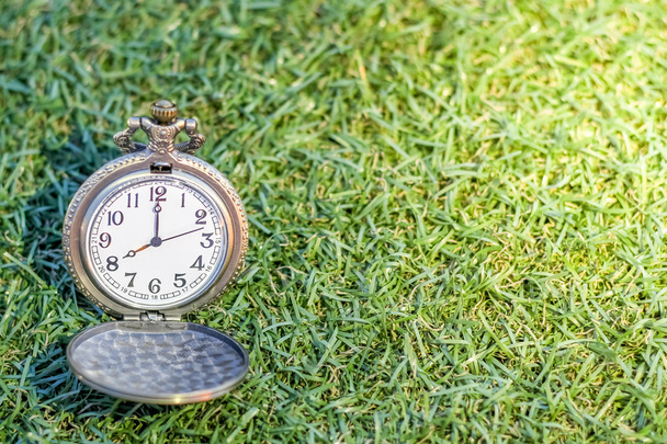 Vintage pocket gold watch with green grass, abstract for time concept with copy space  - 写真・画像