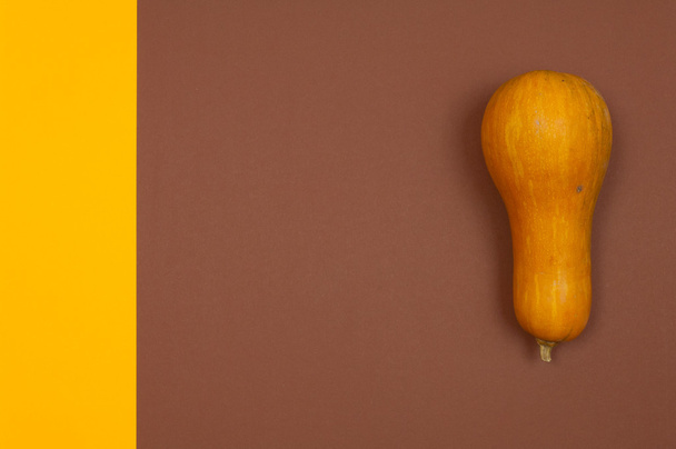 Butternut squash isolated on brown and yellow split background - Photo, Image