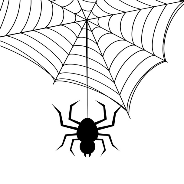 Spider on the web illustration - Vector, Image