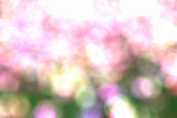 Çiçek lale arka plan. Kırmızı lale & sunligh güzel görünümü - Fotoğraf, Görsel