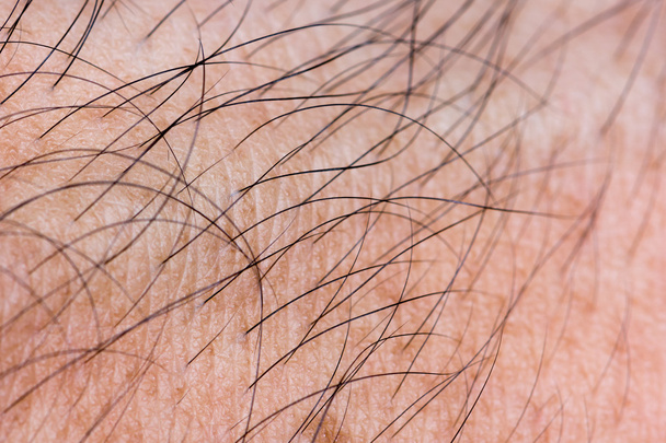 closeup human skin with hair, macro - Photo, Image