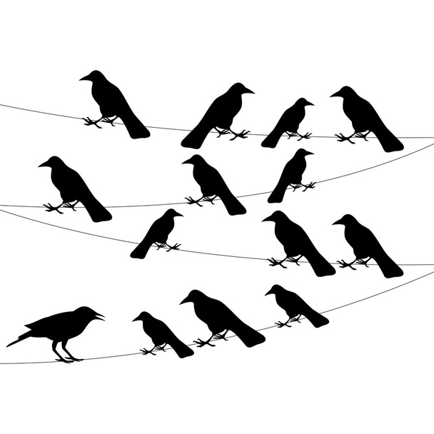 a flock of crows on the wire - Vektör, Görsel
