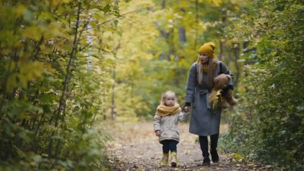 Äiti ja hänen tyttärensä pieni tyttö kävelemässä syksyllä puistossa äiti, lapsi ja nalle
 - Materiaali, video