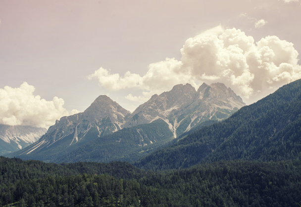 Landscape of Mountains and grass of South Tyrol - Φωτογραφία, εικόνα