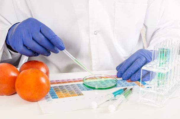 Technician working with genetically modified vegetables. GMO food in lab - Foto, imagen
