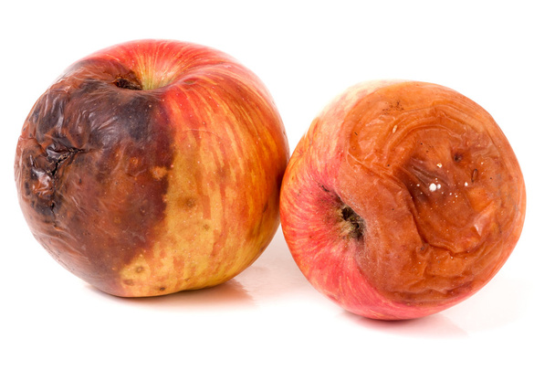 due mele marce isolate su fondo bianco
 - Foto, immagini