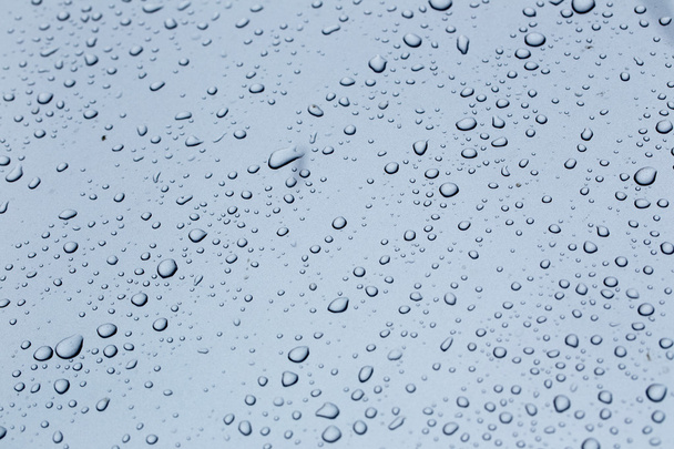 Gotas de lluvia en un capó de coche plata temporada de lluvias
 - Foto, Imagen