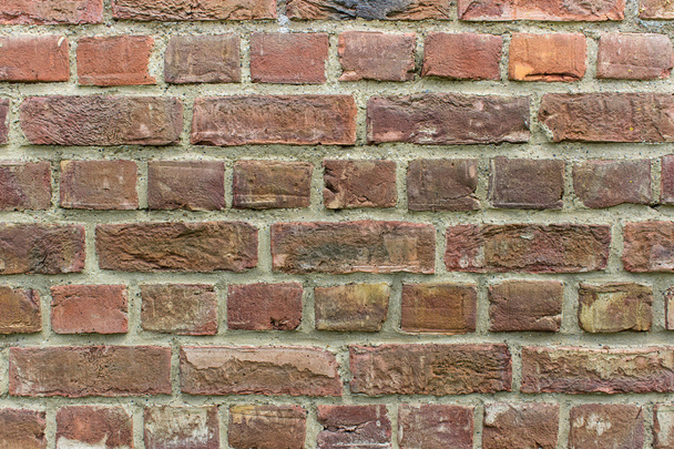 Detail of a wal - Фото, изображение