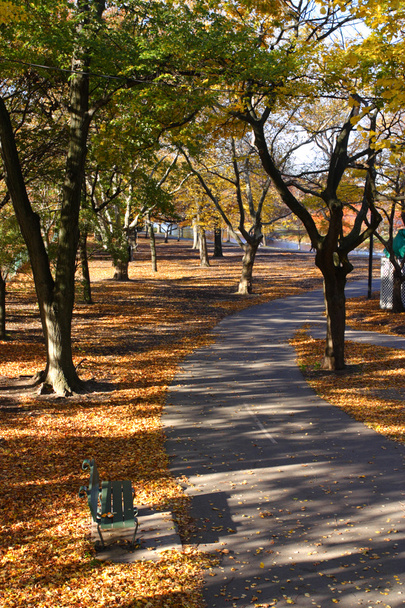 Stock image of fall foliage at Boston - Фото, зображення