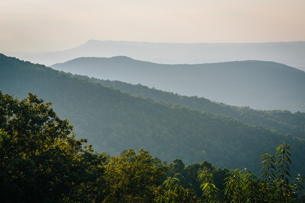 Layers of the Blue Ridge, seen from Skyline Drive, in Shenandoah - Foto, immagini