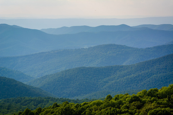 Layers of the Blue Ridge Mountains seen from Bearfence Mountain, - Foto, immagini