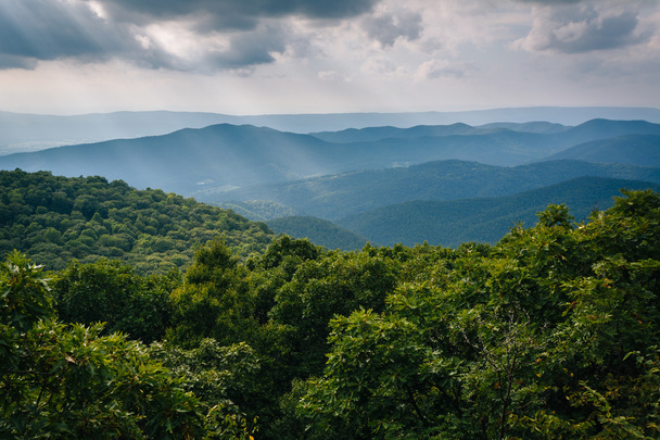 View of the Blue Ridge Mountains from Bearfence Mountain, in She - Foto, immagini