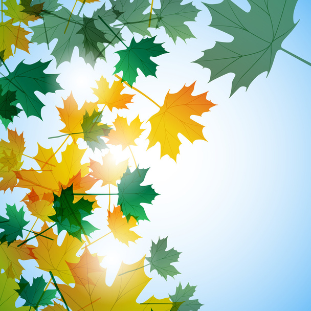 Illustration motif automne. Feuilles d'érable. Fond vectoriel
 - Vecteur, image