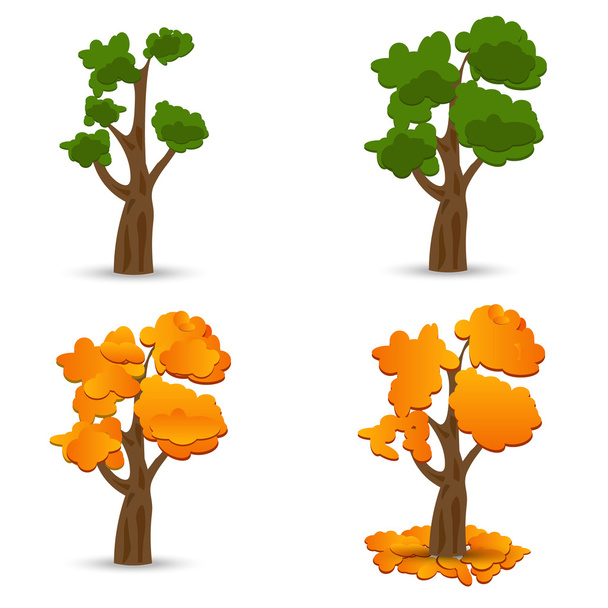 A stylized drawing of oak. Different times of the year. Set. illustration - Vector, Image