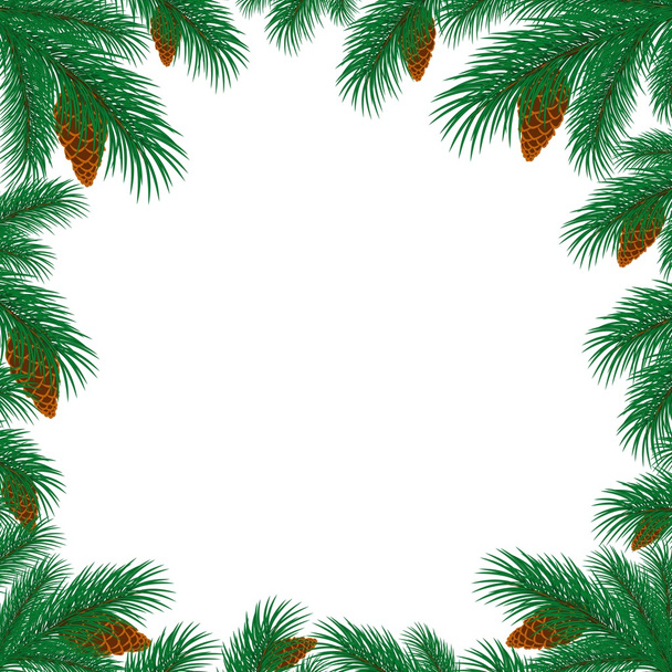 frame with branches of spruce.  - Vector, Image