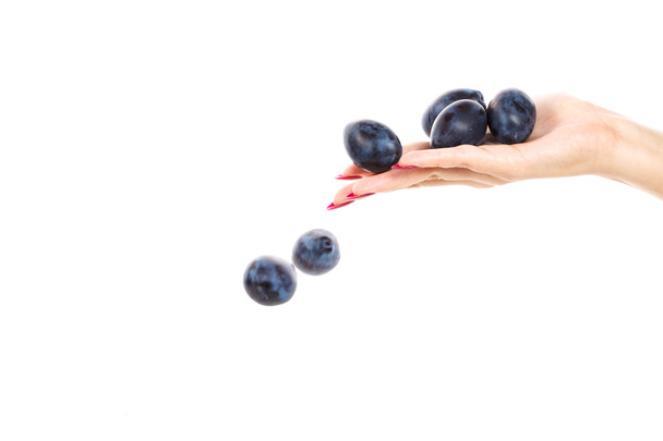 Woman holding a plum on a white background. Plums fall out of yo - Photo, Image