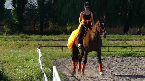 Horse school: meisje studeert rijden op het paard in slow motion. - Video